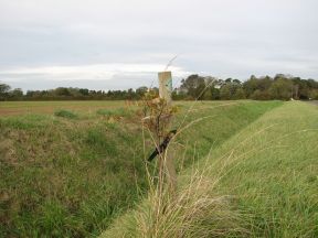 Greenwich Meridian Marker; England; Lincolnshire; Fulstow